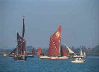 Brighlingsea sailing barges