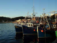 Oban Fishing Fleet